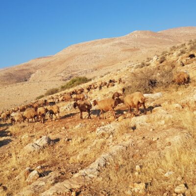 Jordan Valley Activists