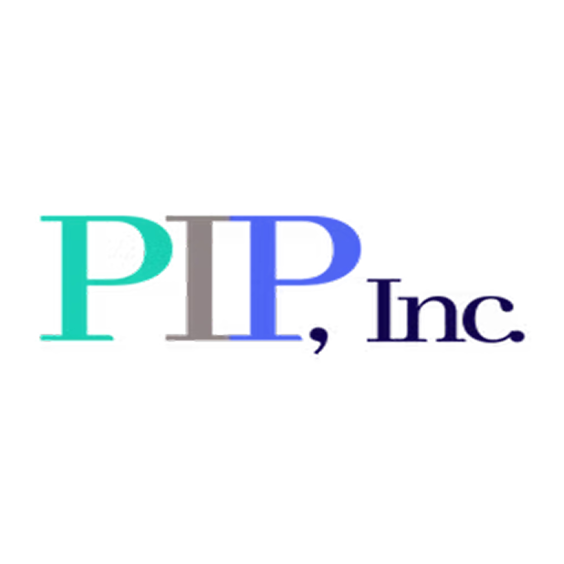 Palestinian Internship Program
